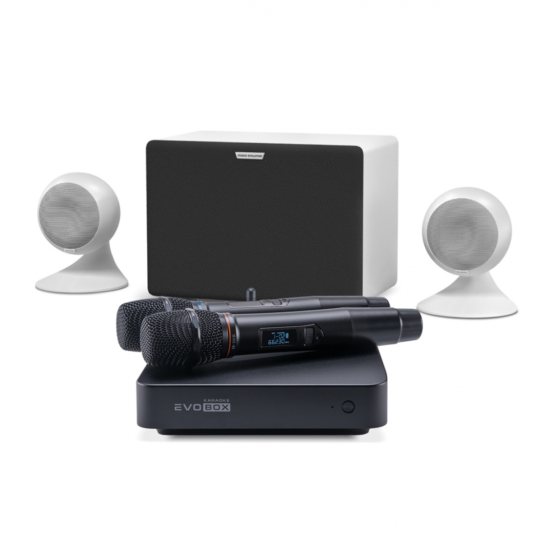 караоке-комплект EVOBOX Classic + EvoSound Sphere 2.1 в Саратовской области