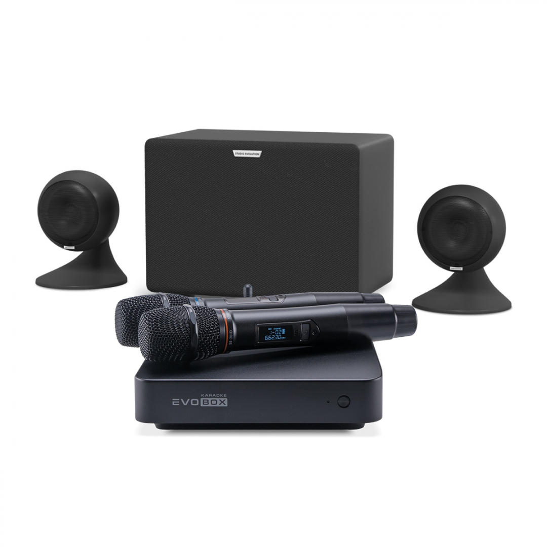 караоке-комплект EVOBOX Plus + EvoSound Sphere 2.1 в Саратовской области