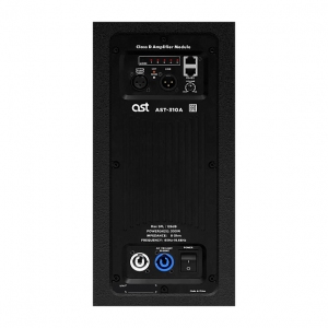 Активная акустическая система AST-310A в Саратовской области