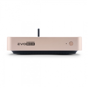 EVOBOX Plus караоке-система для дома в Саратовской области